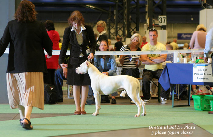 WORLD DOG SHOW 2008 - Чемпионат Мира, Швеция, Стокгольм